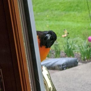 Meet your Posher, Martha